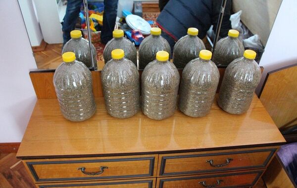 изъятая марихуана - Sputnik Молдова