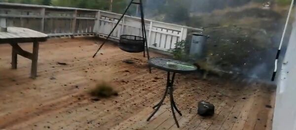 Житель Норвегии снял на видео момент, как молния ударила в террасу на заднем дворике дома - Sputnik Moldova