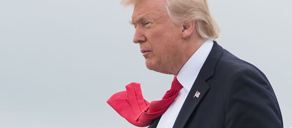 Президент США Дональд Трамп Президент США Дональд Трамп - Sputnik Молдова