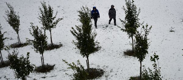 Снег на курорте Роза-Хутор в Красной Поляне - Sputnik Молдова