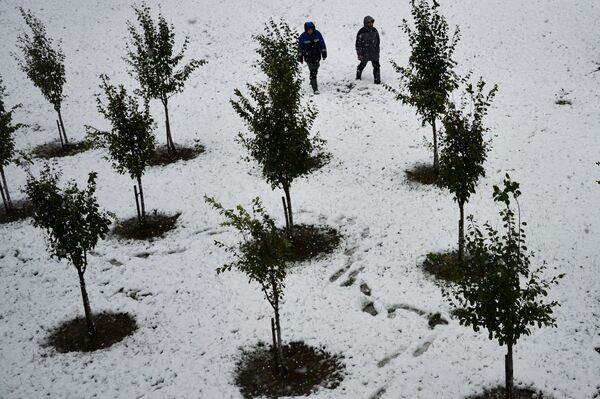 A căzut zăpada la stațiunea balneară „Roza-hutor” de la Krasnaia Poleana - Sputnik Moldova