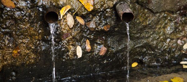 Родник в Буюканском парке Родник в Буюканском парке - Sputnik Молдова