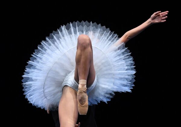 Baletul Operei din Dresda în timpul repetițieu înainte de reprezentația de la New York - Sputnik Moldova-România