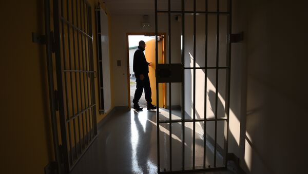 A prison guard open a door during a press visit on October 14, 2015 in the new prison in Valence, southeastern France - Sputnik Moldova-România