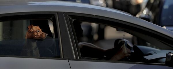 Ambuteiaj în București - Sputnik Moldova