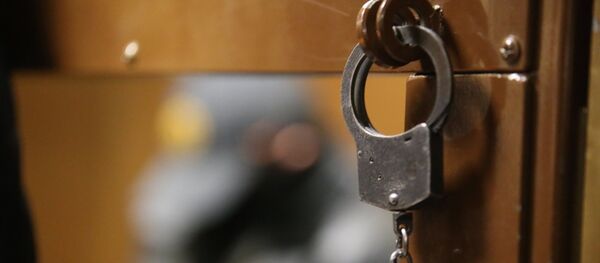Наручники на двери клети Наручники на двери клети - Sputnik Молдова