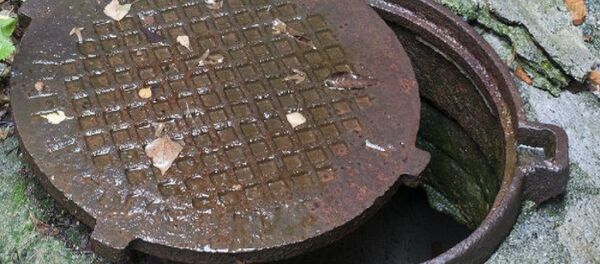 Полуоткрытый люк - Sputnik Moldova