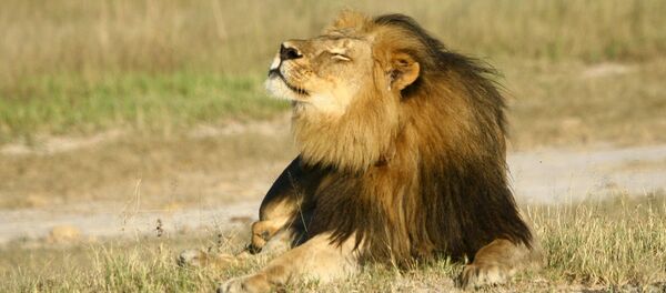 Lion Lion - Sputnik Moldova-România