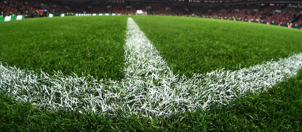 Травяное покрытие на футбольном поле стадиона Лужники - Sputnik Молдова