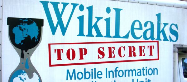 Логотип Wikileaks на фургоне автомобиля Логотип Wikileaks на фургоне автомобиля - Sputnik Moldova-România