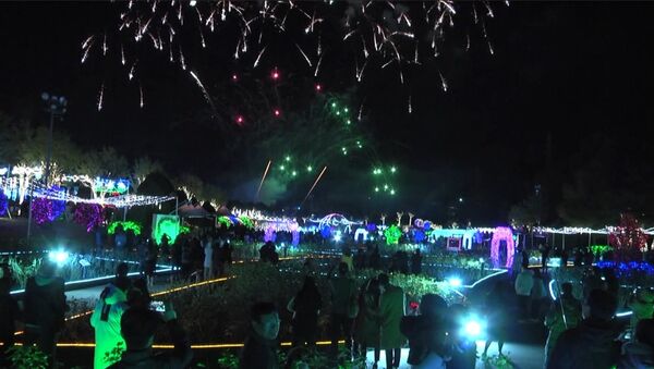 Зимний фестиваль света стартовал в Южной Корее - Sputnik Молдова