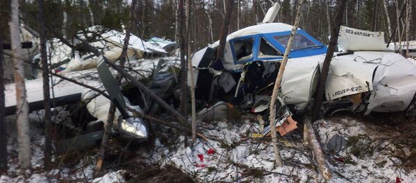 Крушение самолета L-410 в Хабаровском крае - Sputnik Moldova