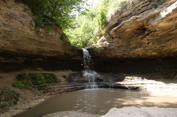 Цыповский ландшафтный заповедник  - Sputnik Молдова