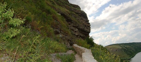 Цыпово-легенда Молдовы - Sputnik Moldova