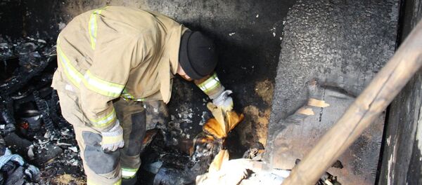 Пожар в селе Дану, где погибли трое детей - Sputnik Moldova