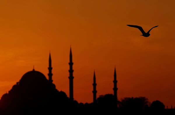 Чайка летит над проливом Босфор на фоне мечети во время заката в городе Стамбул, Турция - Sputnik Молдова