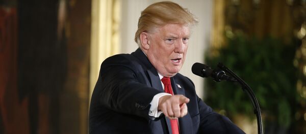 Президент США Дональд Трамп, фото из архива Президент США Дональд Трамп, фото из архива - Sputnik Молдова