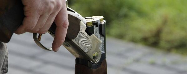 Ружье Beretta, архивное фото - Sputnik Молдова