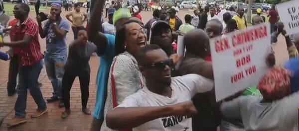 Толпы людей праздновали на улицах Хараре отставку президента Зимбабве - Sputnik Молдова