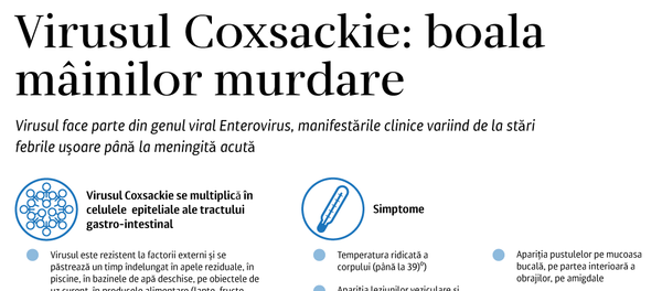 Coxsackie - Sputnik Moldova-România
