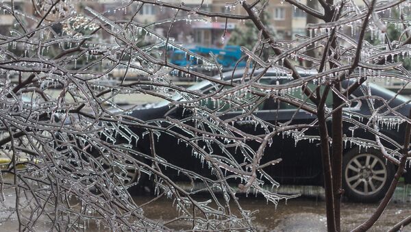 Последствия ледяного дождя в Краснодаре - Sputnik Moldova