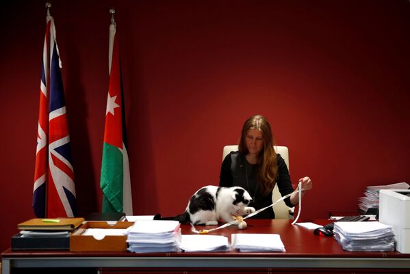 Adjunctul ambasadorului britanic în Iordania, Laura Dauban, se joacă cu Lawrence of Abdoun, prima pisică oficială a ambasadei - Sputnik Moldova-România