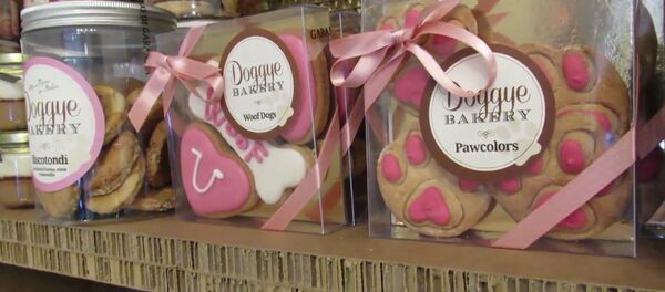 Торты и пирожные для собак - Sputnik Молдова