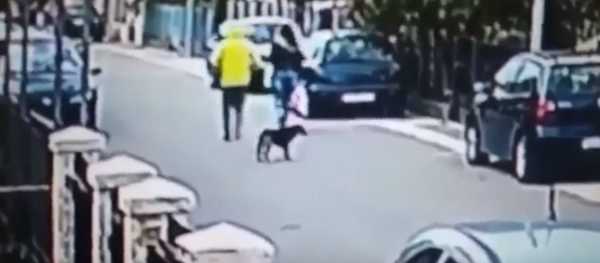 В Черногории уличный пес спас женщину от грабителя В Черногории уличный пес спас женщину от грабителя - Sputnik Moldova