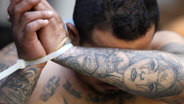 An alleged member of the Mara Salvatrucha gang covers his face after being detained during a police raid in San Salvador, El Salvador, Friday, Jan. 31, 2014. - Sputnik Moldova-România
