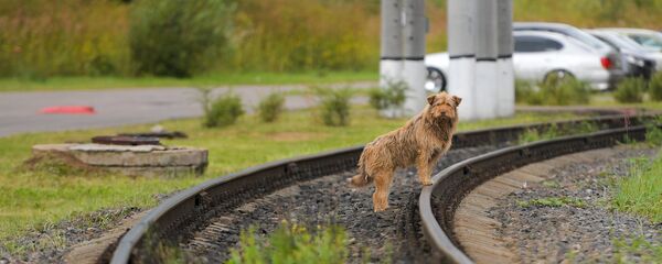 Cale ferată - Sputnik Молдова