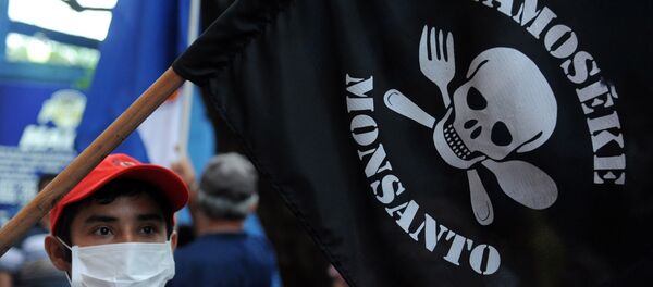 People demonstrate against the US biotechnology giant Monsanto and its genetically modified crops and pesticides, in Asuncion, on May 25, 2015 two days after thousands of people hit the streets in cities across the world to protest against the company. People demonstrate against the US biotechnology giant Monsanto and its genetically modified crops and pesticides, in Asuncion, on May 25, 2015 two days after thousands of people hit the streets in cities across the world to protest against the company. - Sputnik Moldova