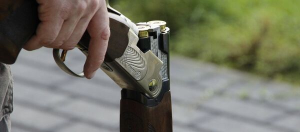 Ружье, архивное фото - Sputnik Moldova