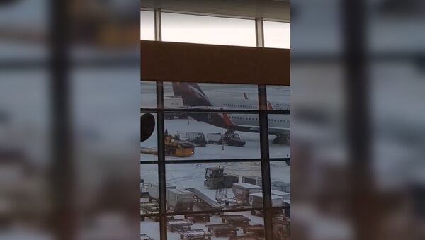 В аэропорту Шереметьево сотрудники радуются первому снегу - Sputnik Молдова