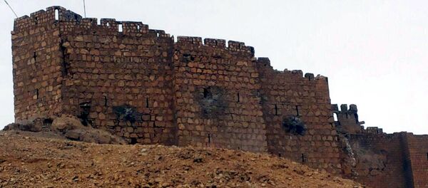 A general view shows the old citadel of Palmyra in Homs Governorate overlooking the city's ancient ruins, after forces loyal to Syria's President Bashar al-Assad recaptured it on Friday, in this handout picture provided by SANA on March 26, 2016. - Sputnik Moldova-România
