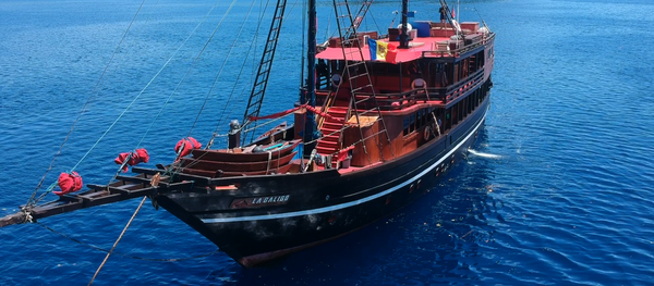 Индонезия и Папуа-Новая Гвинея - Sputnik Молдова