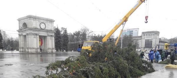 Рождественская ель Кишинев 2017 - Sputnik Moldova