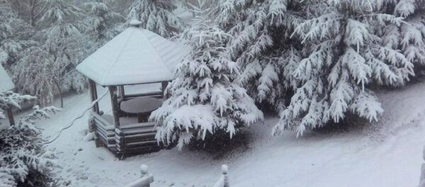 Iarna la Bukovel, Ucraina - Sputnik Moldova
