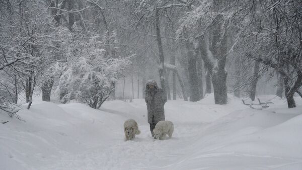 Обильный снегопад в Москве - Sputnik Moldova-România