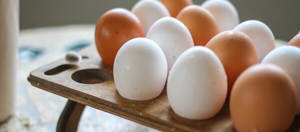 Яйца - Sputnik Молдова