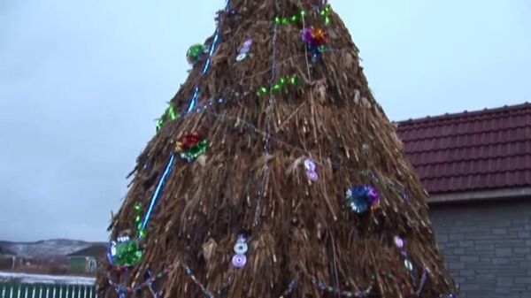 Житель села Хечул Векь Сынжерейского района Марин Пынзару установил во дворе своего дома елку из… навоза и чеклеша Житель села Хечул Векь Сынжерейского района Марин Пынзару установил во дворе своего дома елку из… навоза и чеклеша - Sputnik Молдова