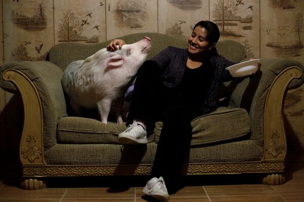 Yissel Mendoza и ее свинья по кличке Balu у себя дома в городе Сьюдад-Хуарес, Мексика - Sputnik Молдова
