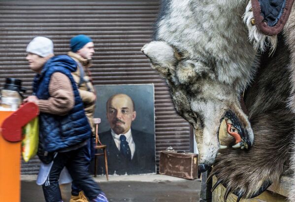 Волчья шкура на фоне портрета Владимира Ильича Ленина на Измайловском рынке, Москва - Sputnik Молдова