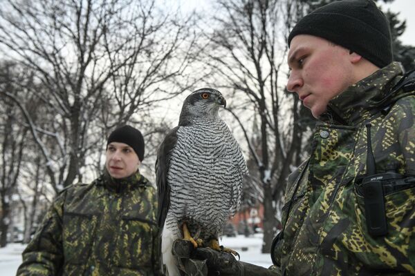 Les oiseaux gardiens du Kremlin - Sputnik Moldova-România