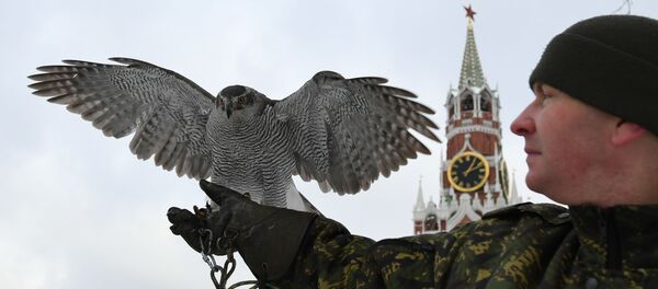 Les oiseaux gardiens du Kremlin - Sputnik Moldova-România