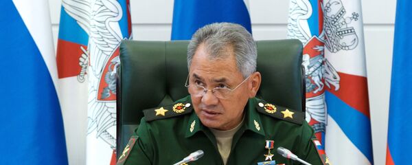 Министр обороны РФ Сергей Шойгу - Sputnik Молдова