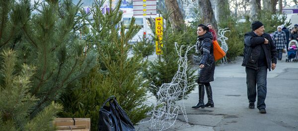 Елочный базар Елочный базар - Sputnik Молдова