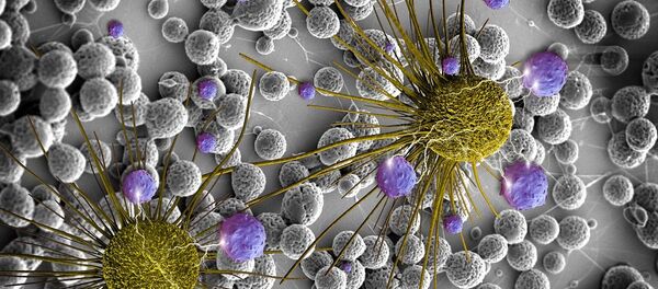 brain cancer cells and released BCNU - Sputnik Moldova