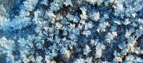 Neige - Sputnik Moldova-România