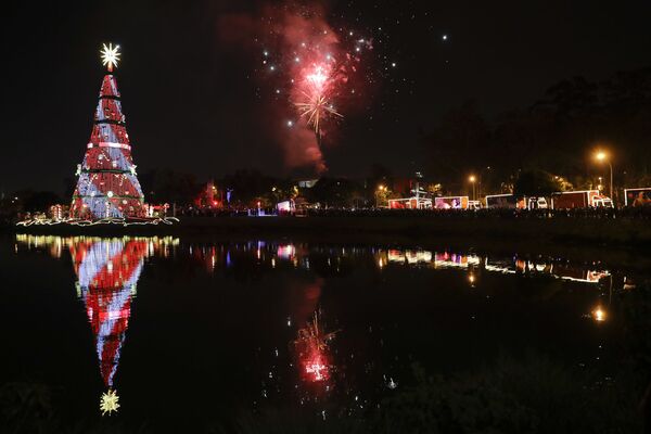 Focuri de artificii la ceremonia inaugurării Pomului de Crăciun la São Paulo, Brazilia - Sputnik Moldova