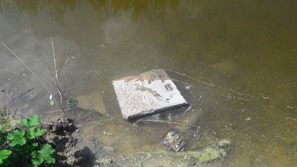 Фотография надгробной плиты в воде - Sputnik Молдова